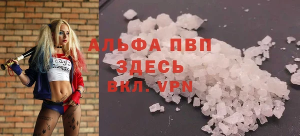 гашик Касимов