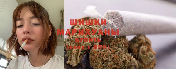 гашик Касимов