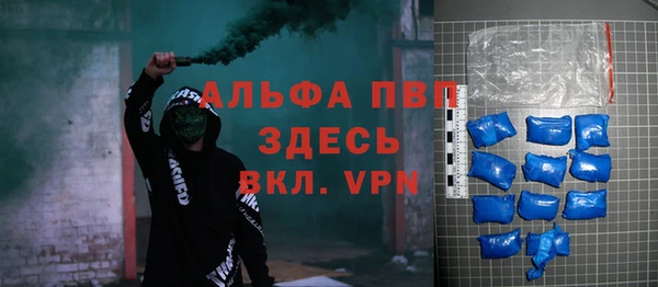 гашик Касимов