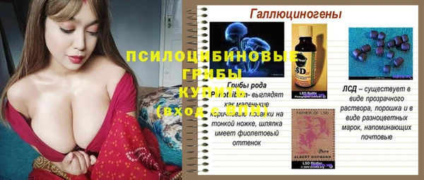 гашик Касимов
