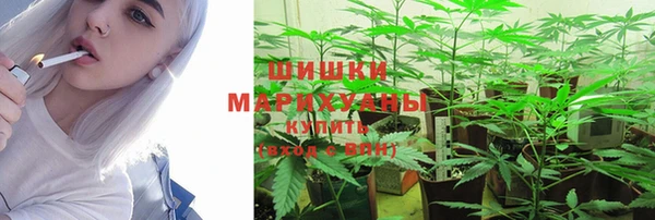 гашик Касимов