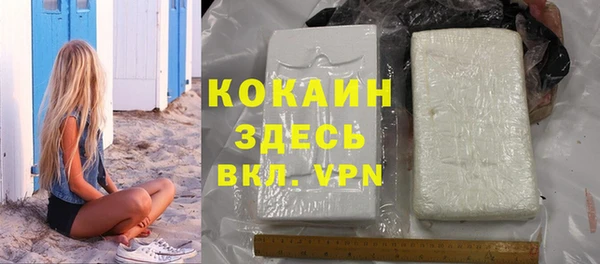 гашик Касимов