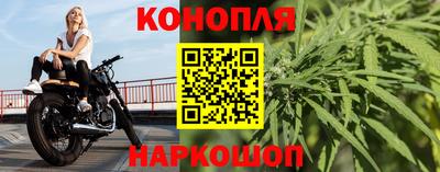 мяу мяу мука Гатчина