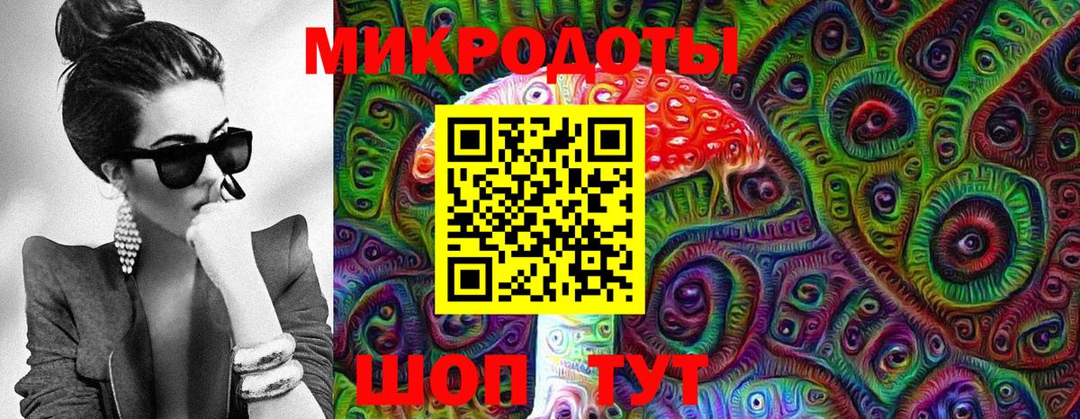 Псилоцибиновые грибы Psilocybine cubensis Улан-Удэ