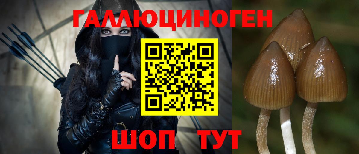 купить  цена  Вход с VPN  Улан-Удэ  Псилоцибиновые грибы MAGIC MUSHROOMS 
